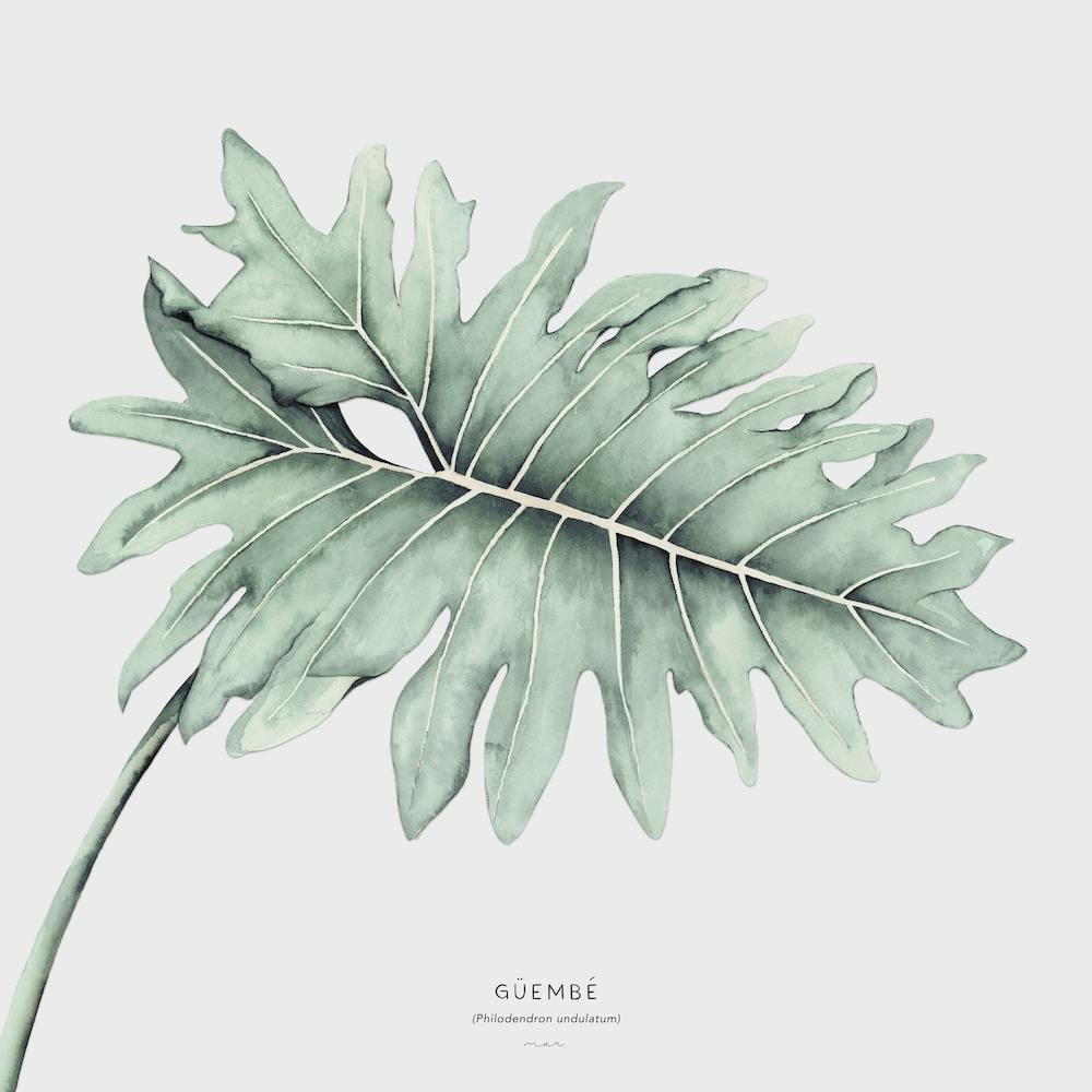 Güembé Carré Blanc Cassé