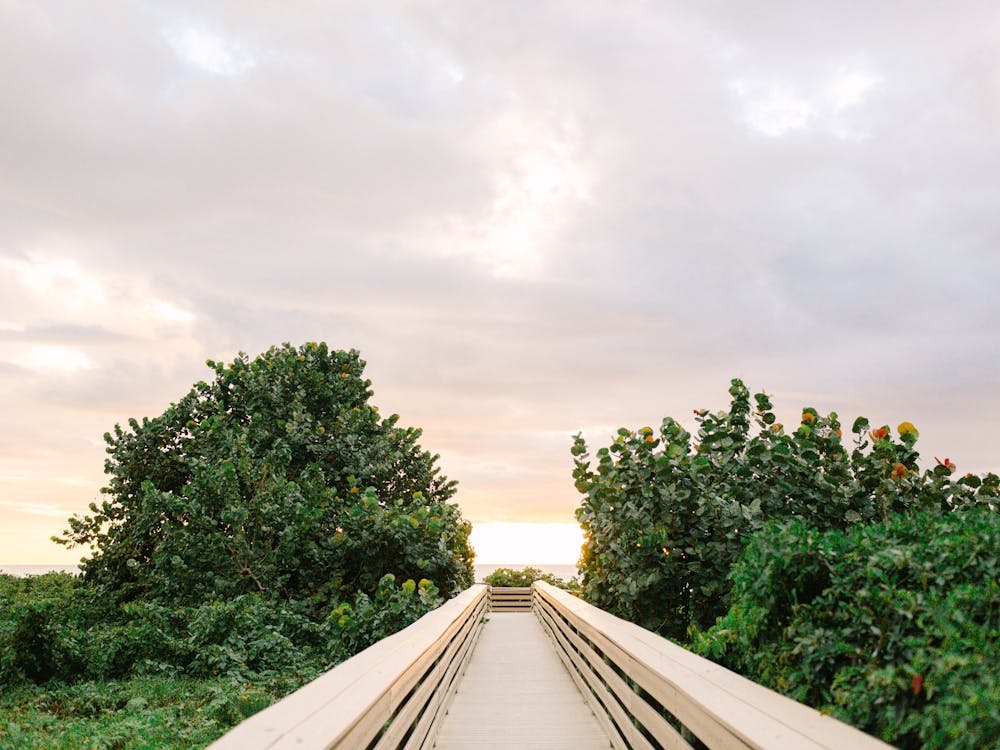 Sunset On The Boardwalk 