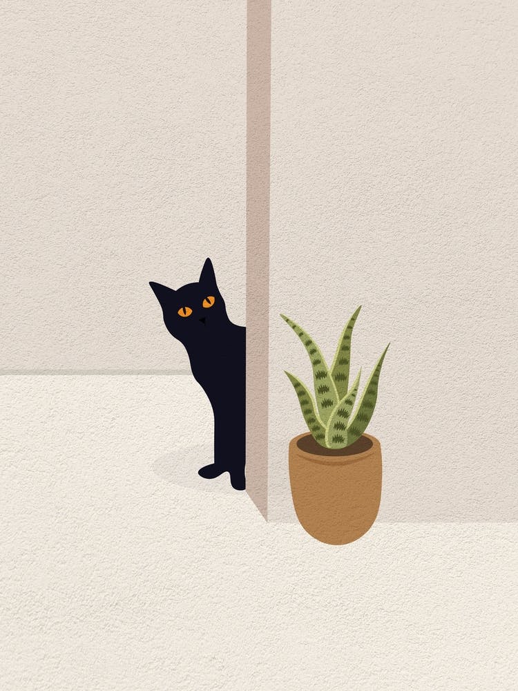 Minimal art of cat between pot and door