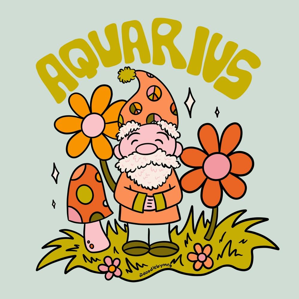 Aquarius Gnome