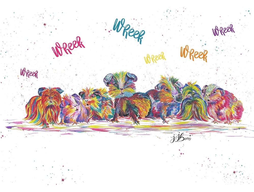 Colourful Guinea pigs in a row