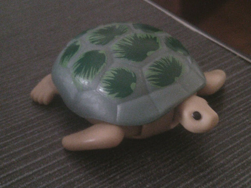 Turtle
