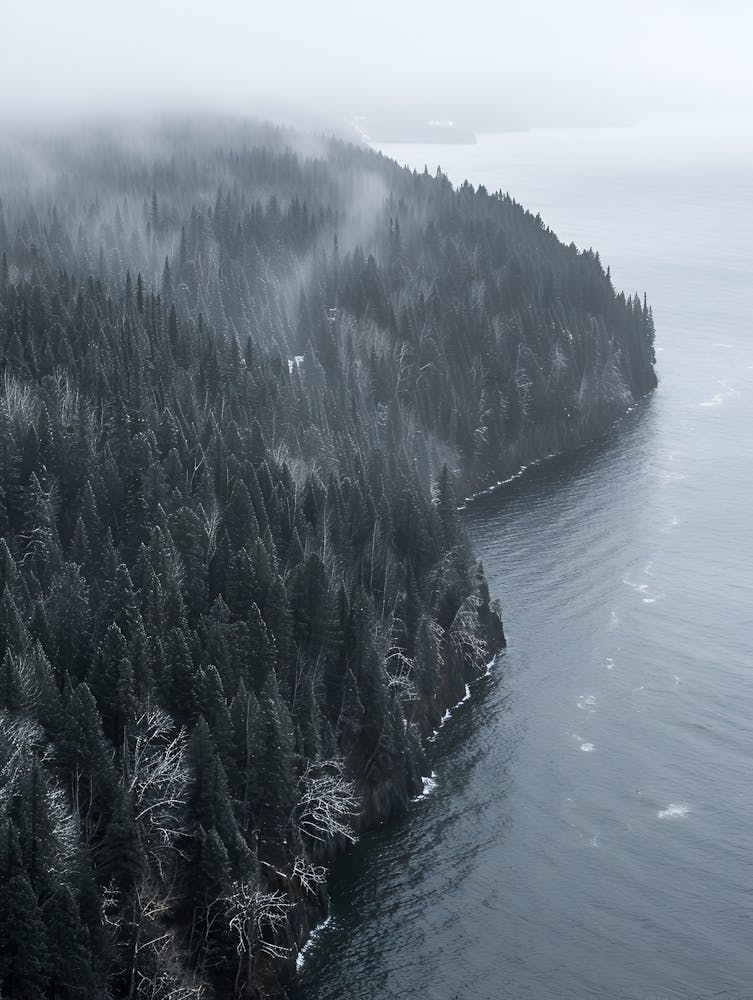 Fog Over The Ocean
