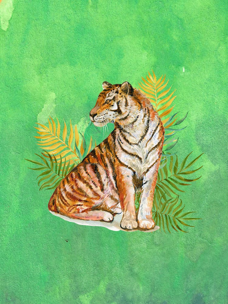 Tiger 3
