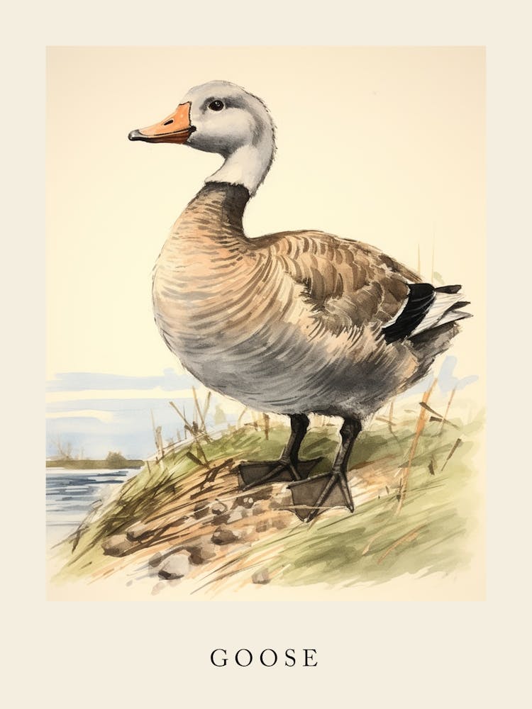 Beatrix Potter Inspired  Animal Watercolour Goose 1