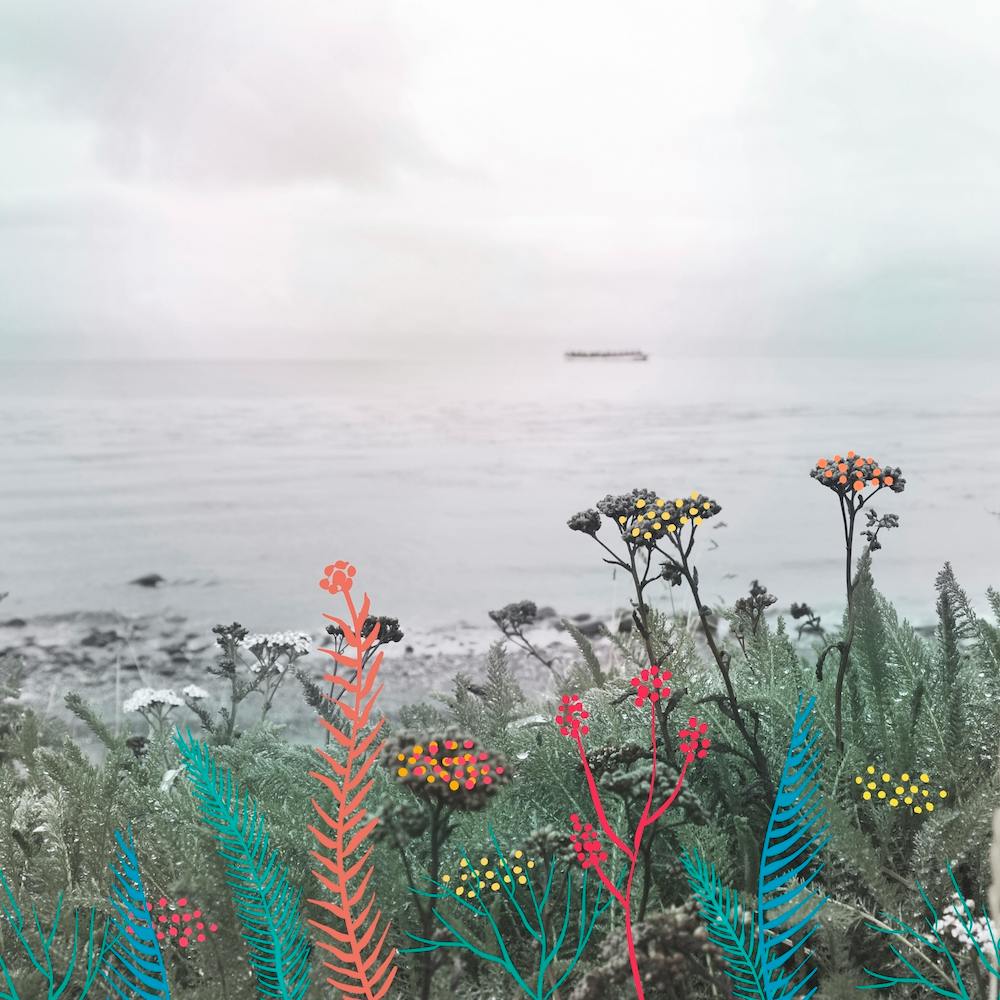 Flowers In The Beach Square