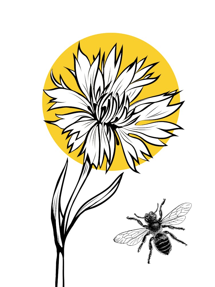 Bee And Flower