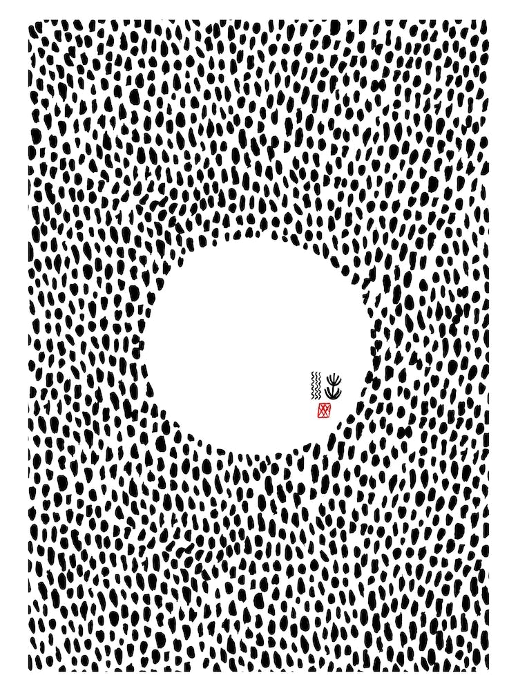 Order In Chaos