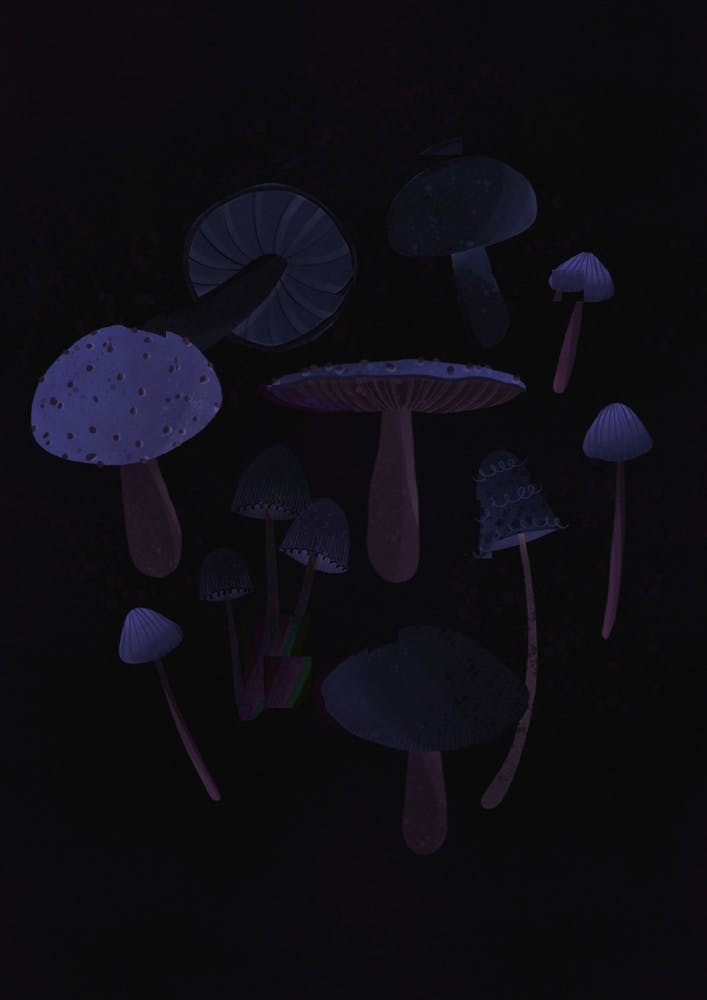 Dark Lilac Mushrooms