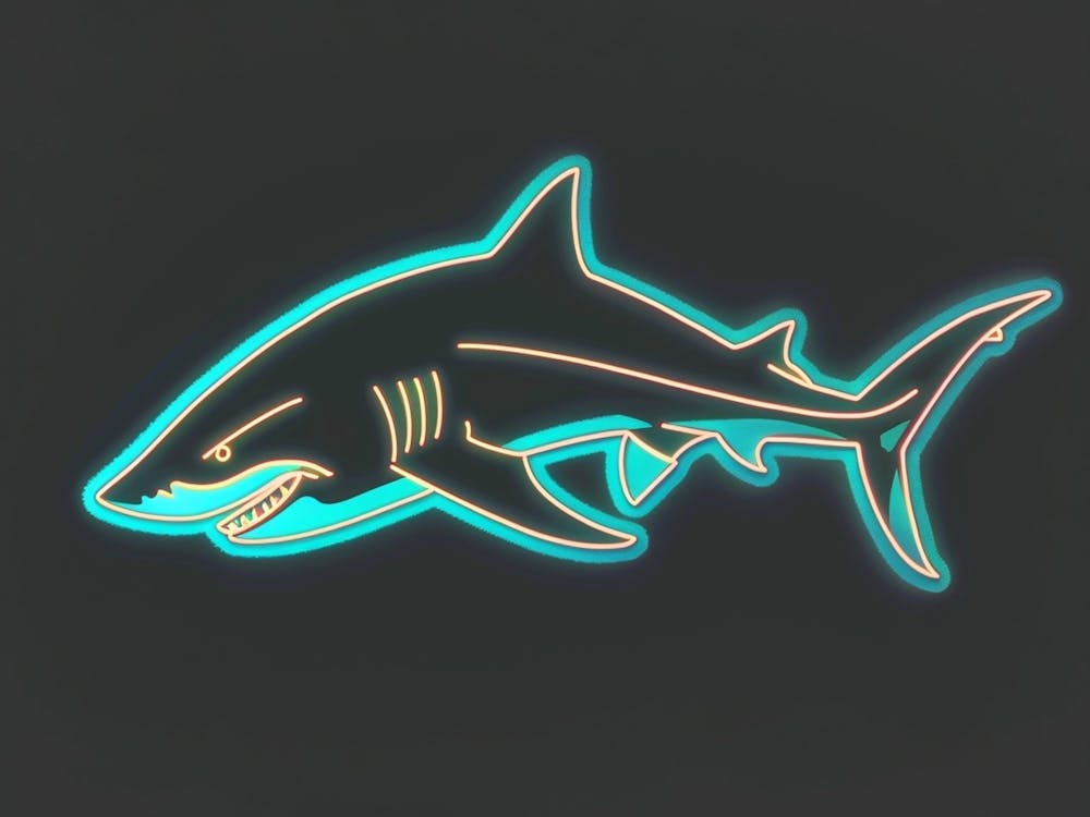 Neon White Tip Reef Shark 7