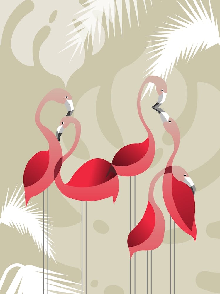 Flamingoes