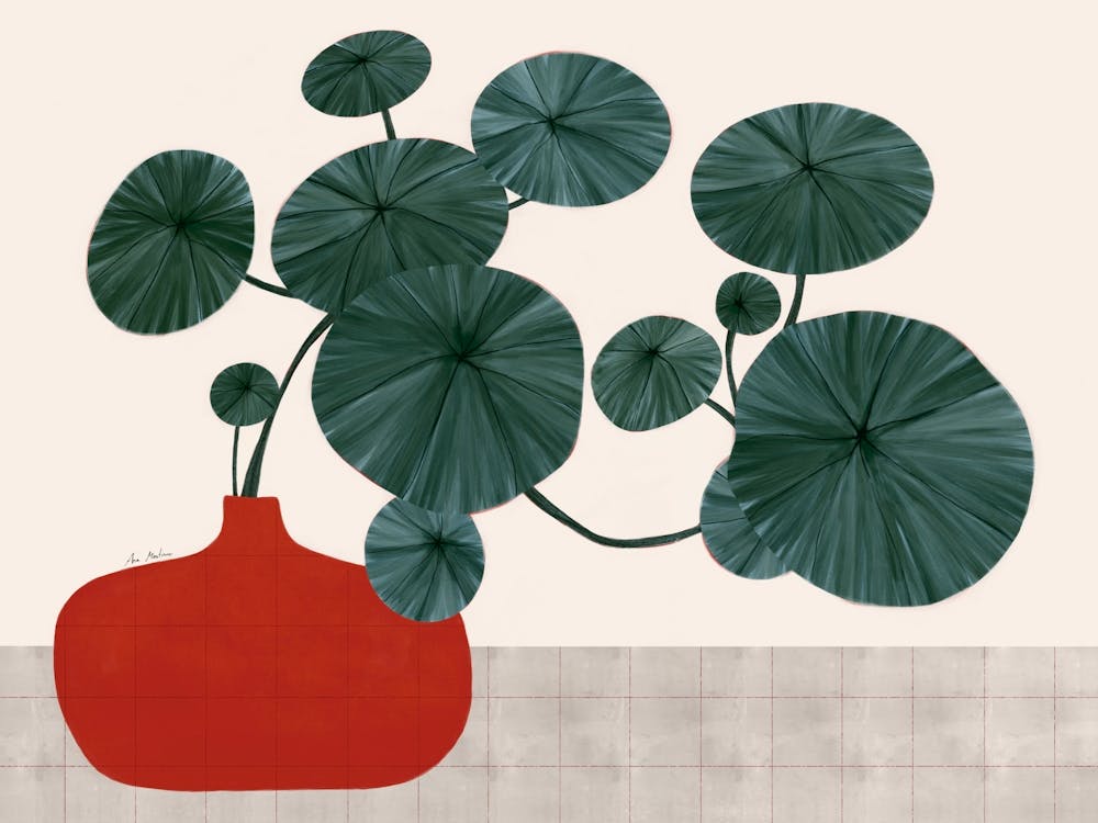 Lily Of The Valley 1