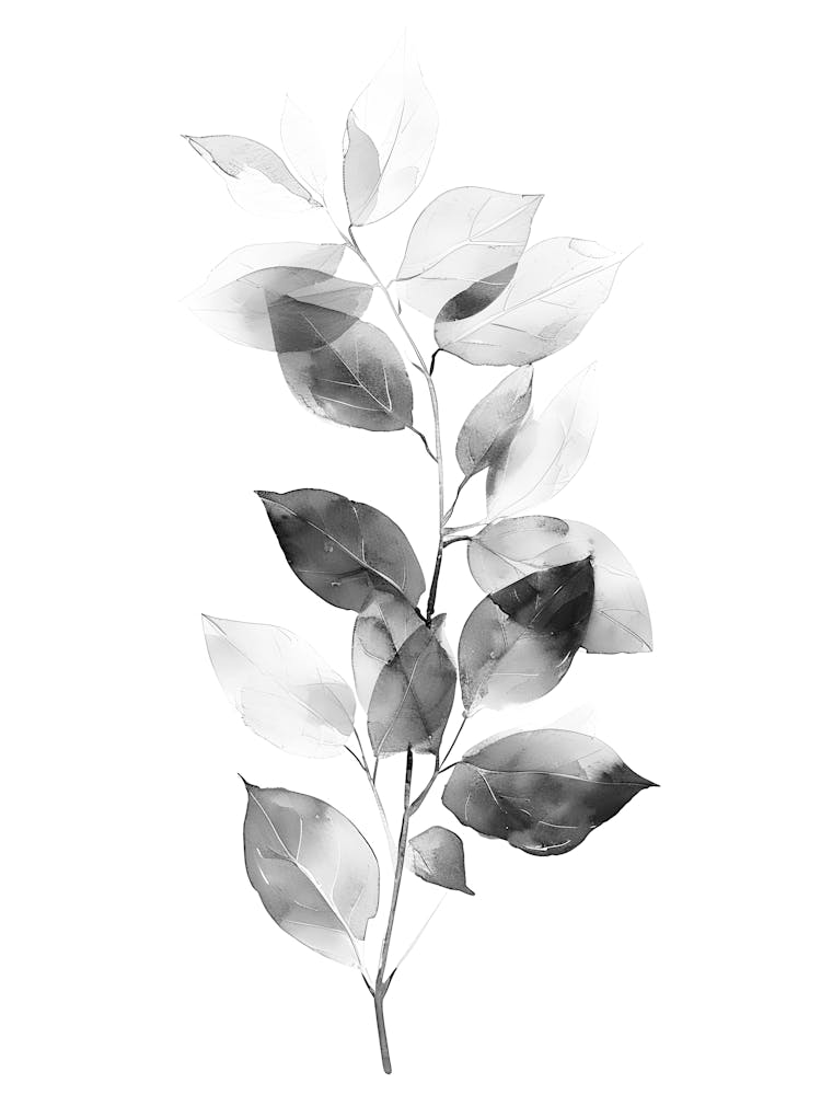 Leaves On A Branch