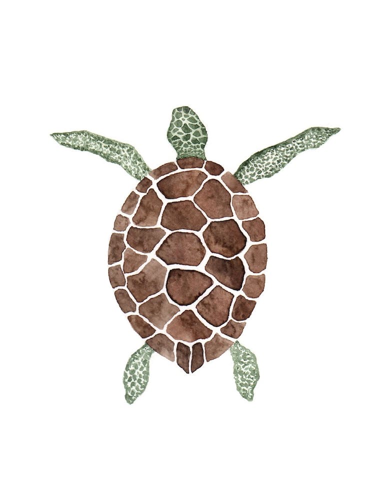 Tortue de Mer