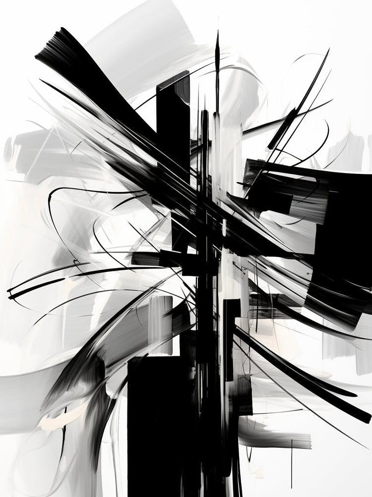 Elegance Abstract Black And White 3
