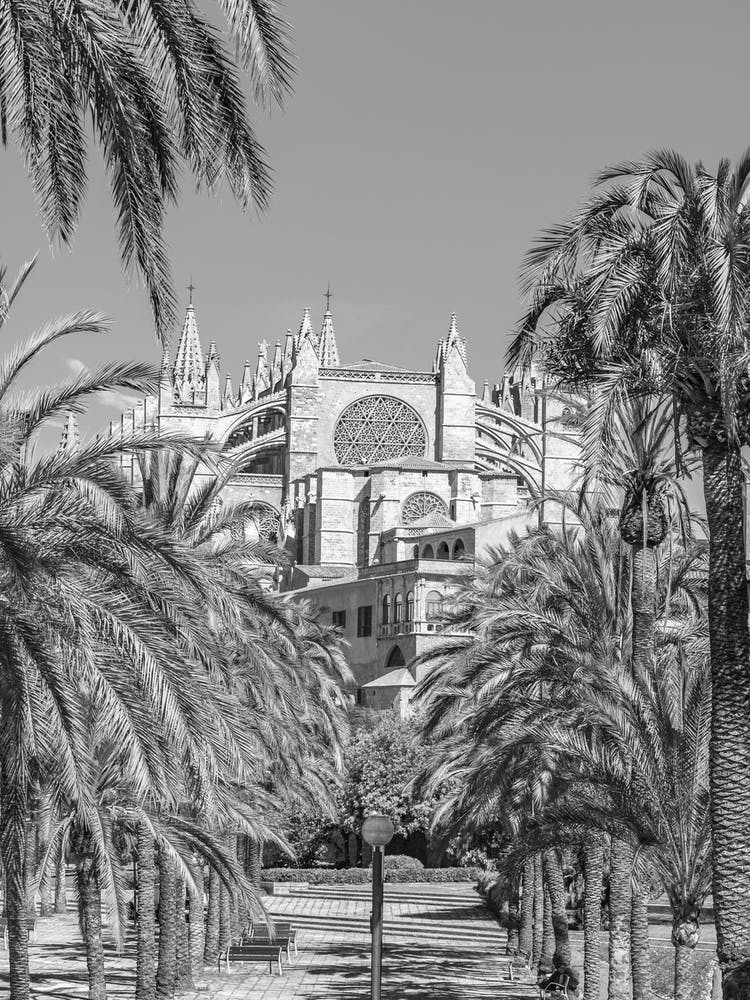 Black And White Mallorca Palma