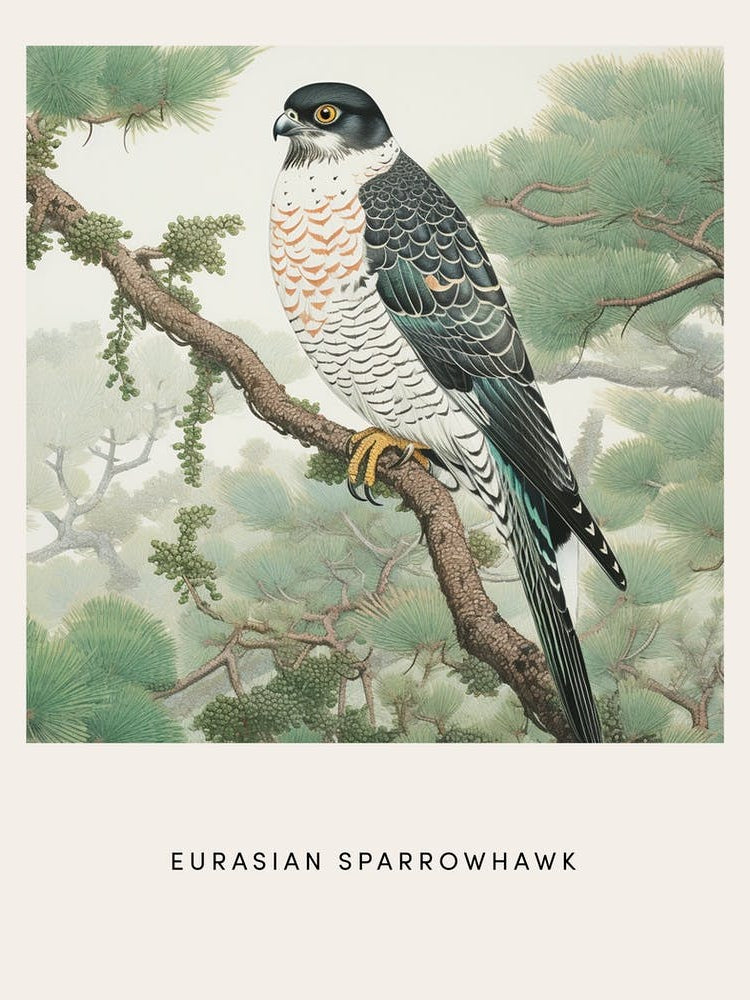 Ohara Koson Inspired Bird Painting Eurasian Sparrowhawk 3 Poster