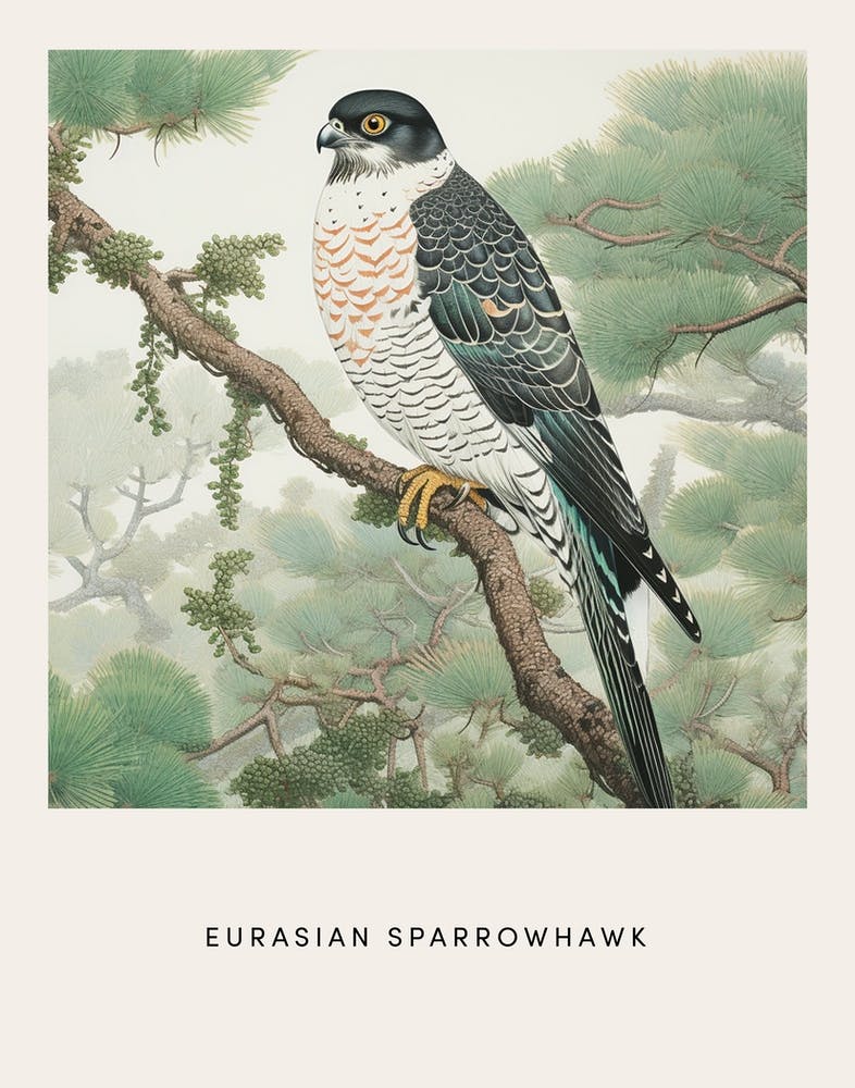 Ohara Koson Inspired Bird Painting Eurasian Sparrowhawk 3 Poster