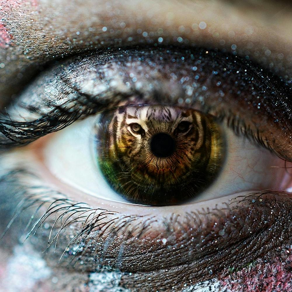 Eye Of The Tiger