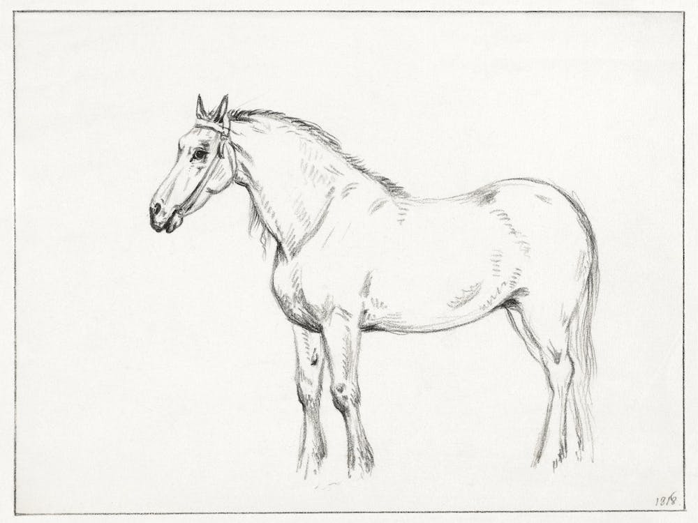 Standing Horse 2, Jean Bernard