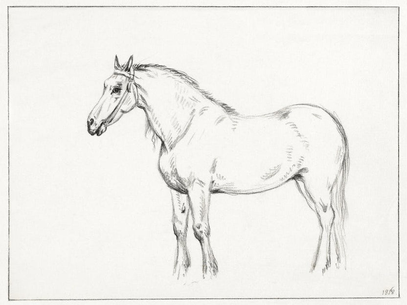 Standing Horse 2, Jean Bernard
