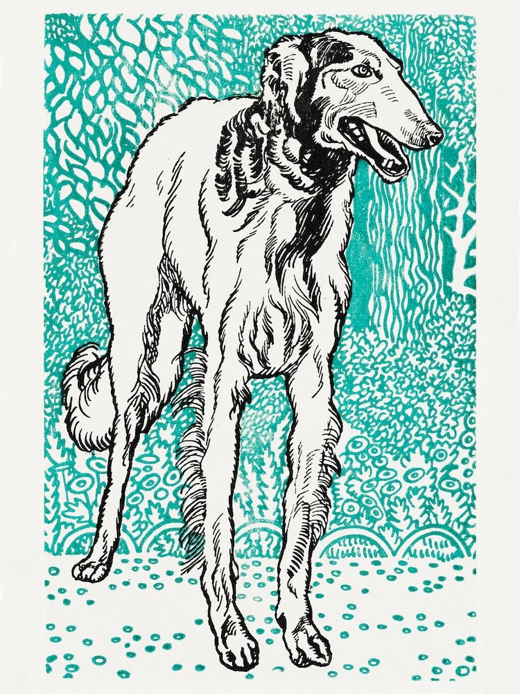 Greyhound, 1912, Moriz Jung