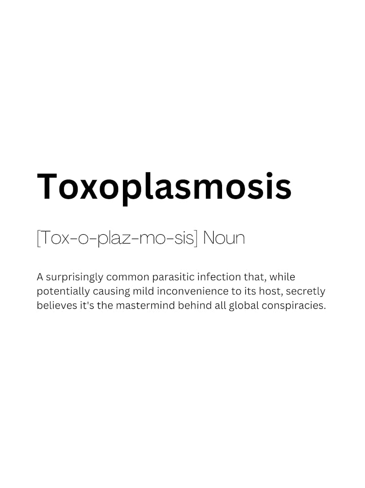 Toxoplasmosis Définition et Sens