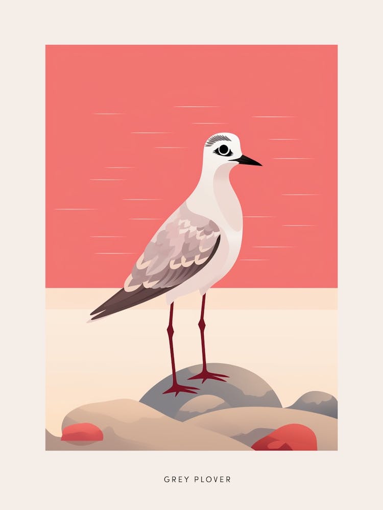 Minimalist Grey Plover 3 Bird Poster