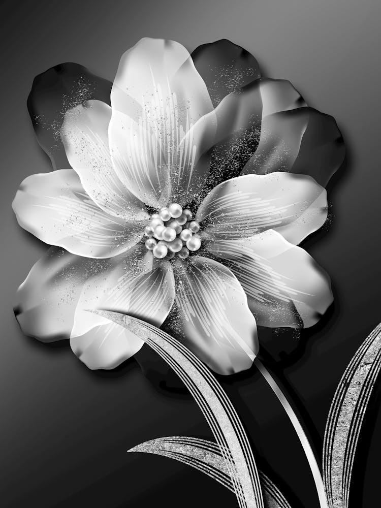 Black And White Flower 40