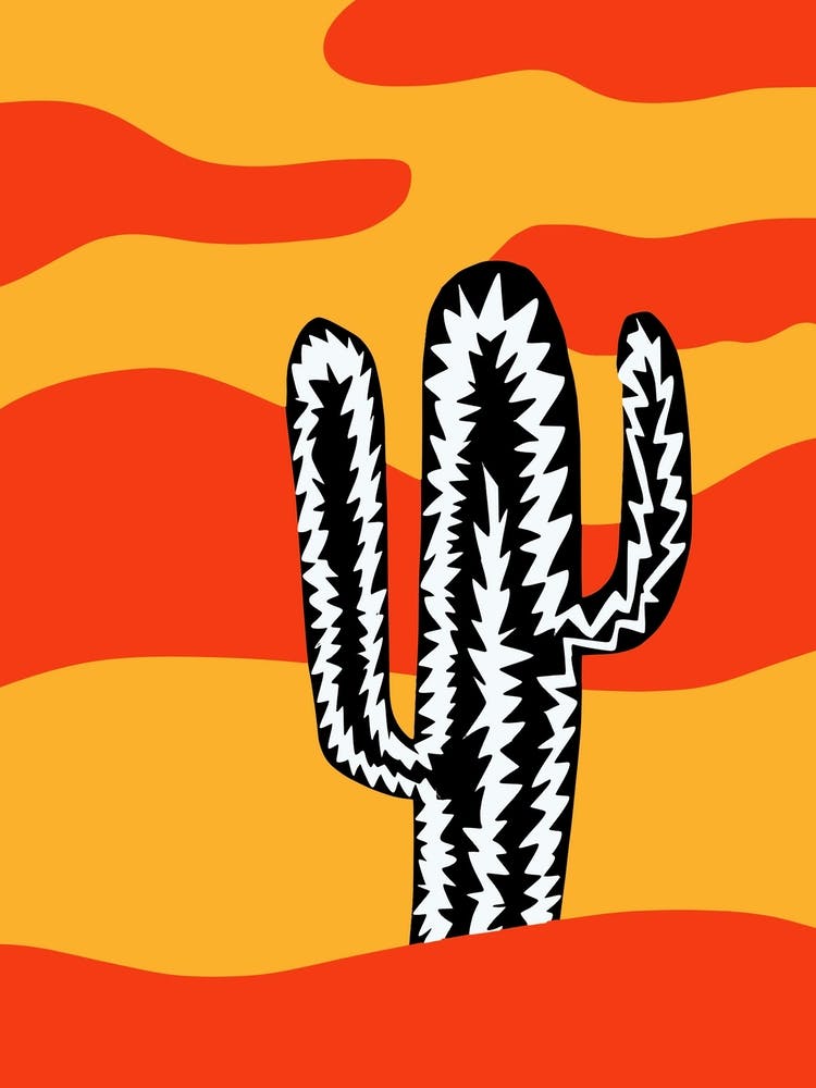 Zebra Cactus