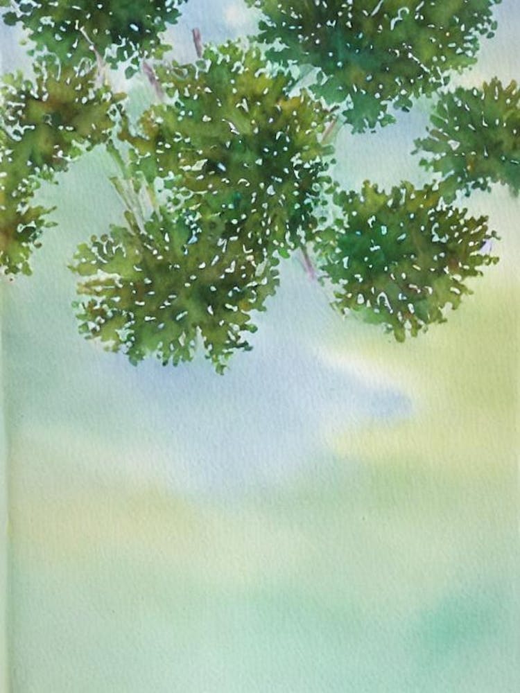 Acropora Cytherea Iiii Storybook Watercolour