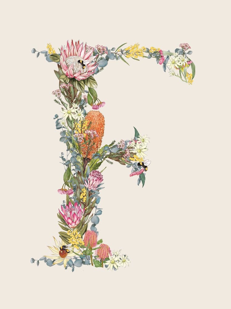 Lettre de l'Alphabet F Oat