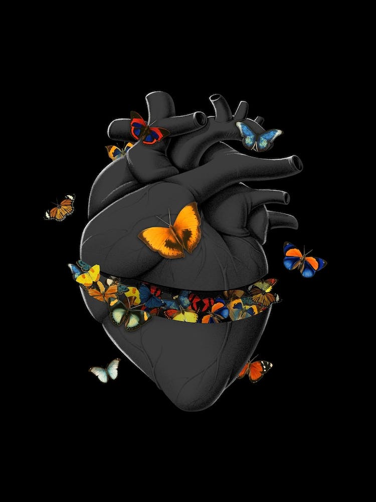 Hurting Black Heart Butterfly