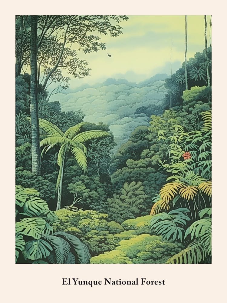 El Yunque National Forest