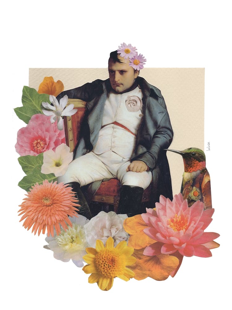 Fancy Napoleon Collage