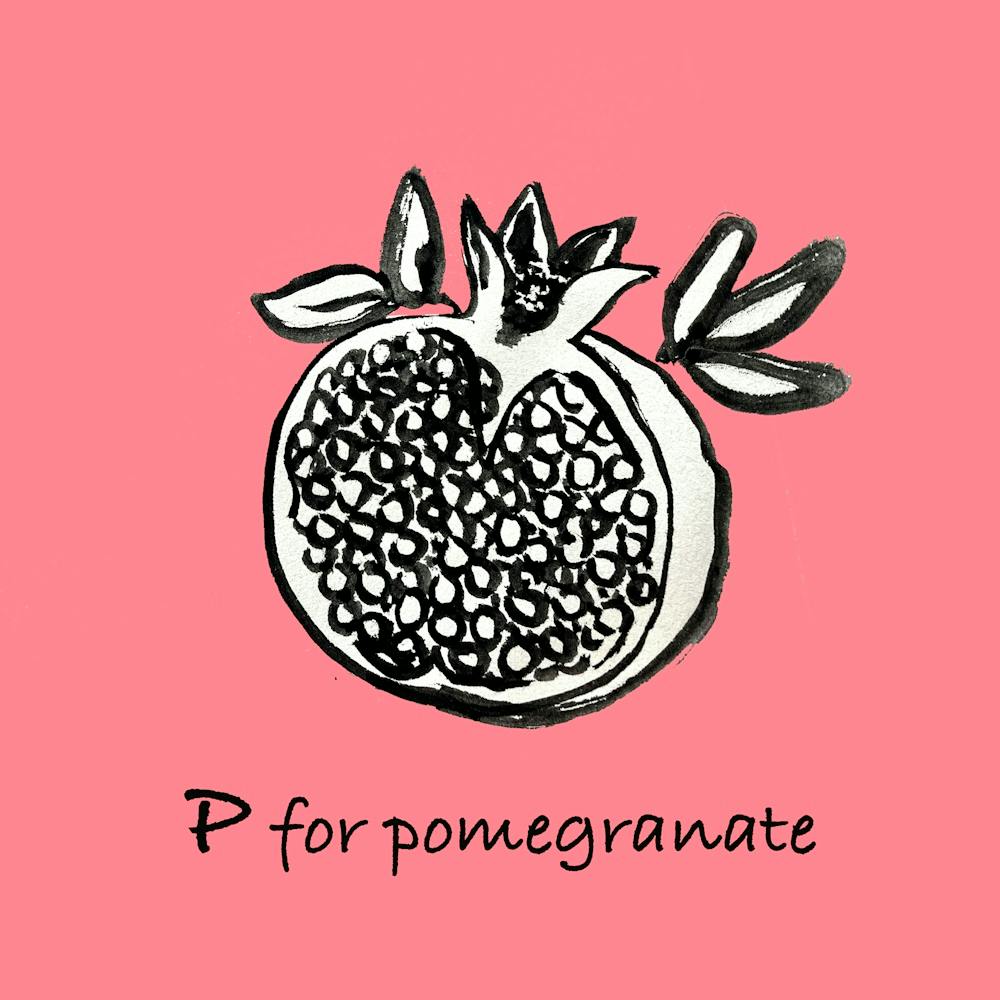 Pomegranate 16x16