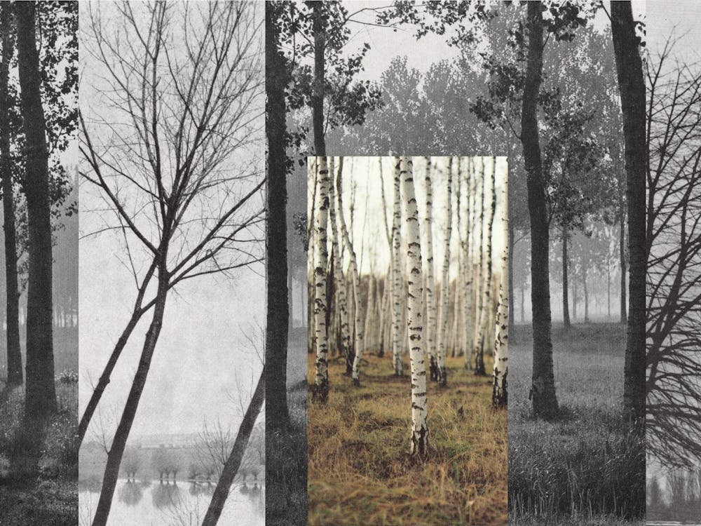 Holzcollage