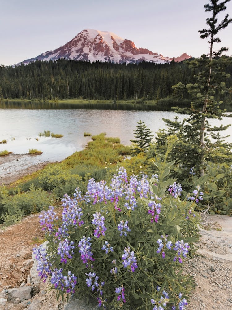 Pastel Mountain Peak