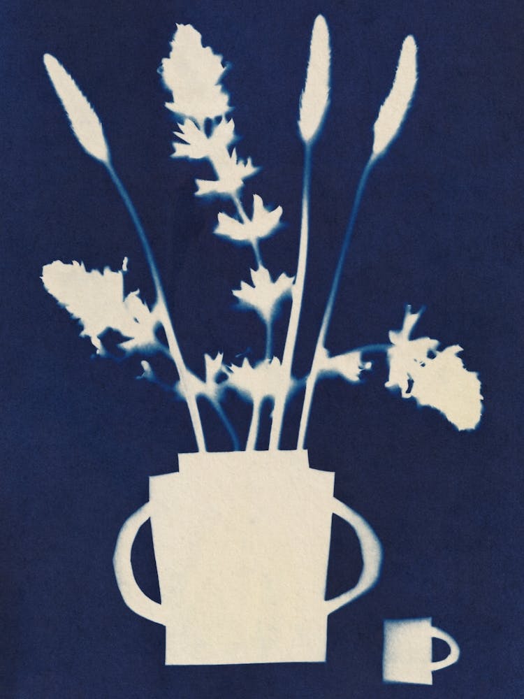 Cyanotype Still Life Studies #6