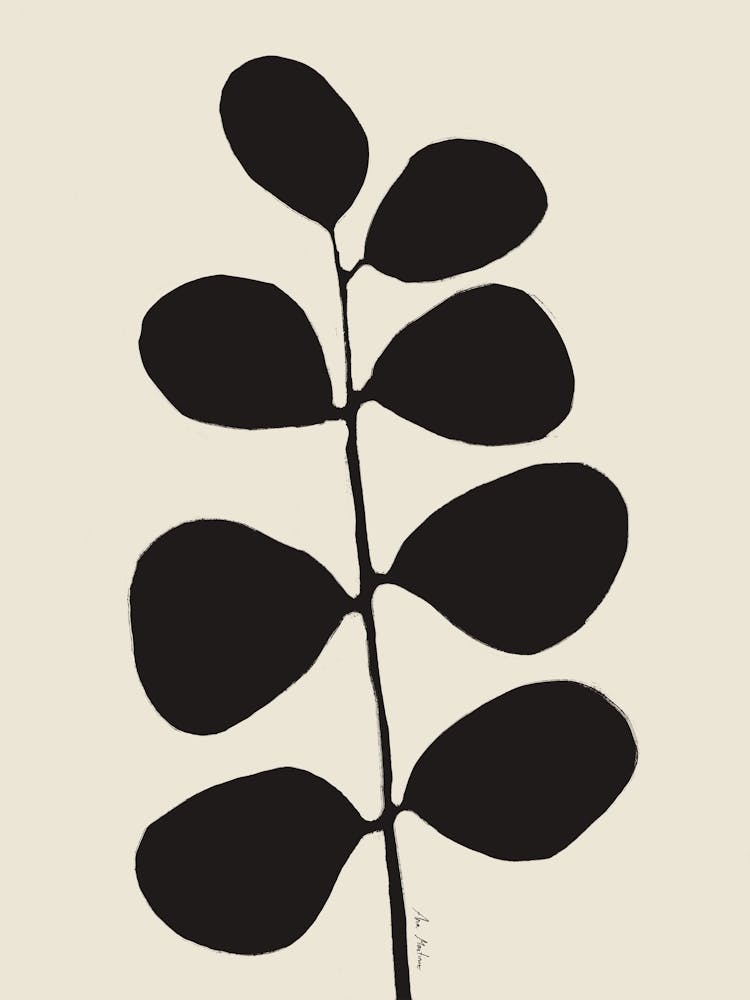 Eucalyptus