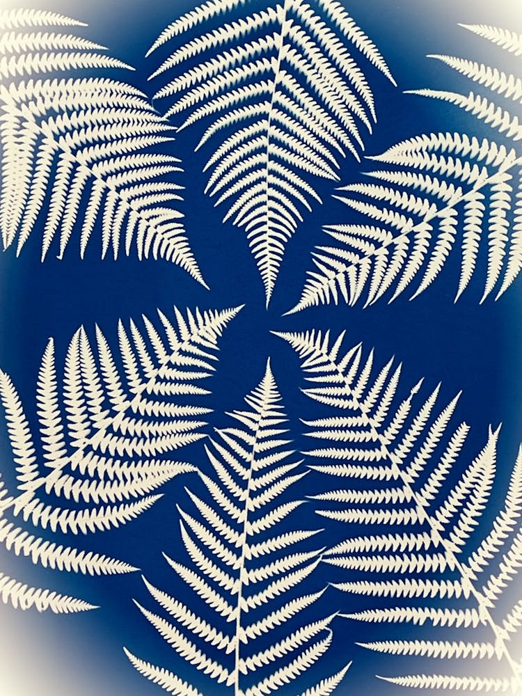 Fern Leaves