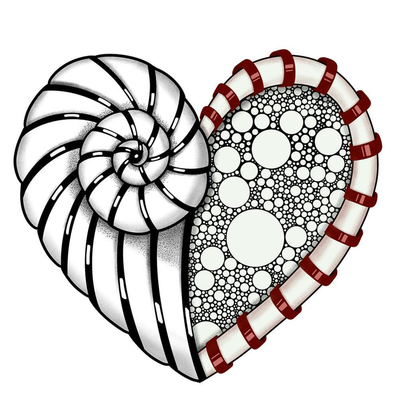 Heart Of Sand 1