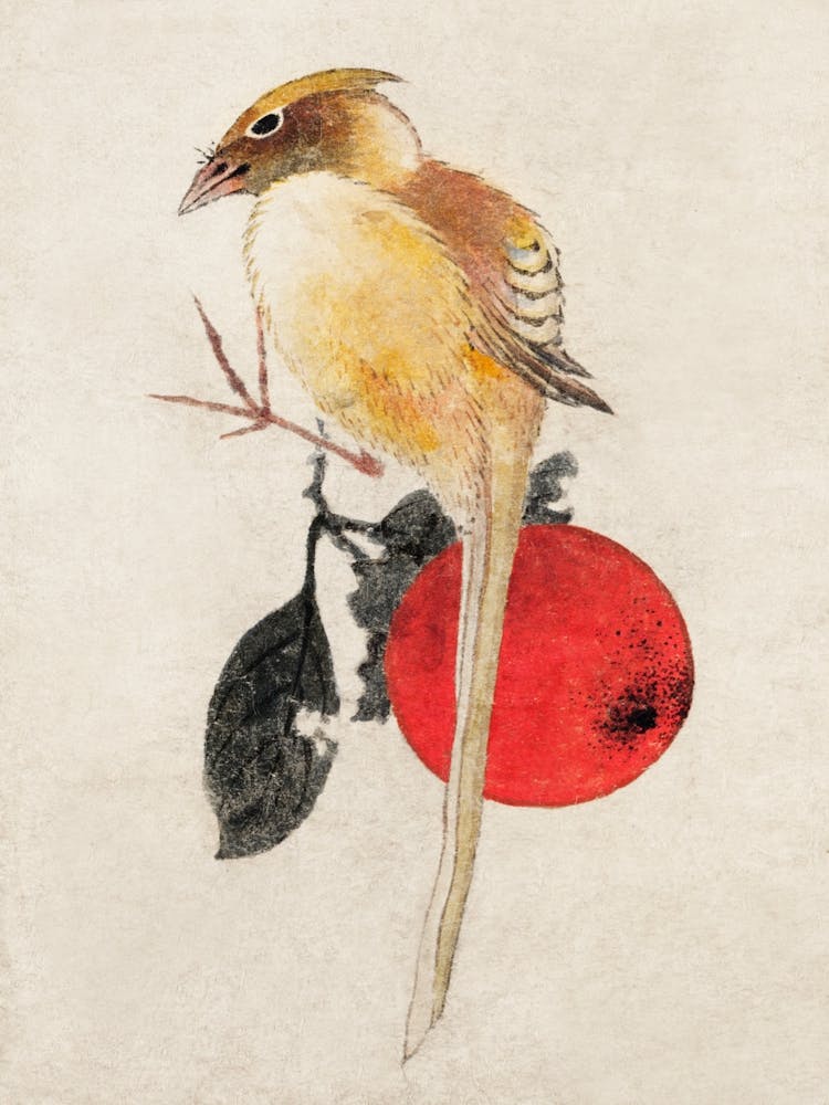 Bird, From Album Of Sketches, Katsushika Hokusai