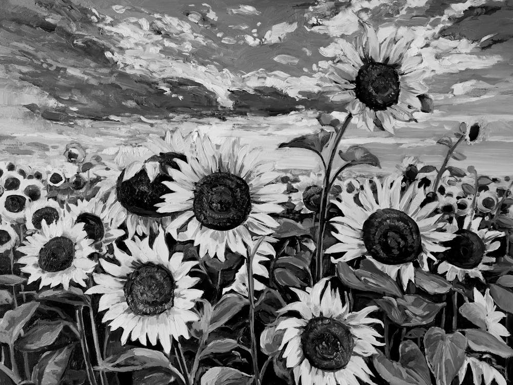 Sunflowers 1