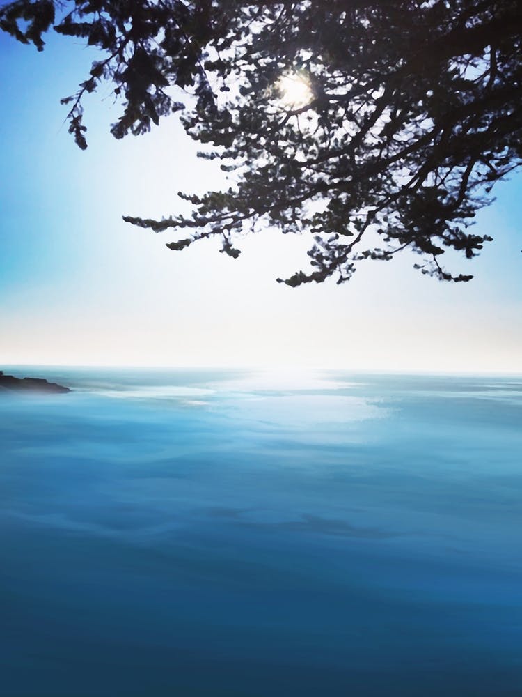 Bright Sea View Coastal