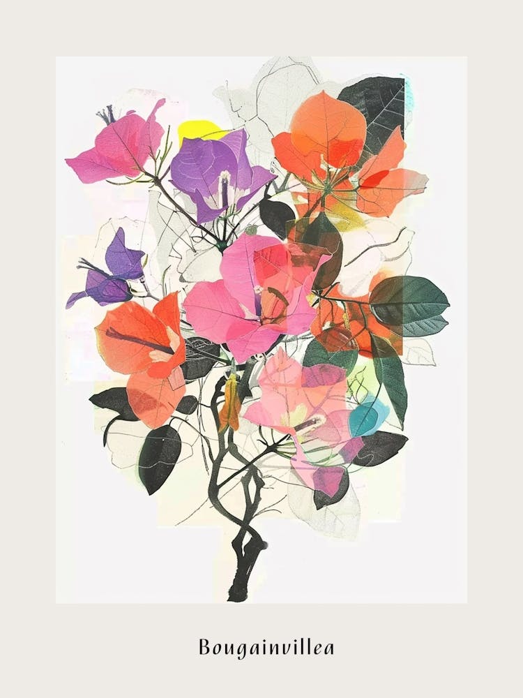 Bougainvillea Collage Blumenstrauß Poster