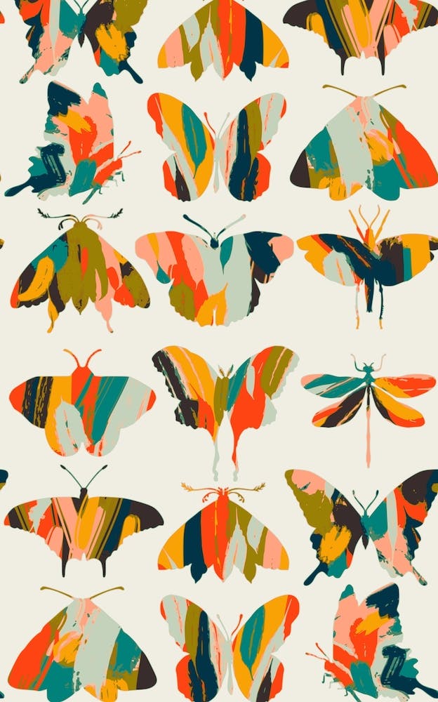 Colorful Butterflies