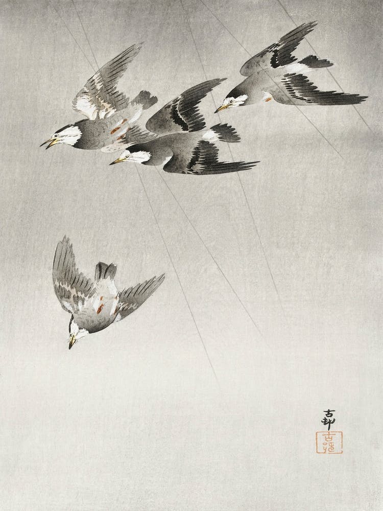 Starlings In The Rain (1900 1930), Ohara Koson