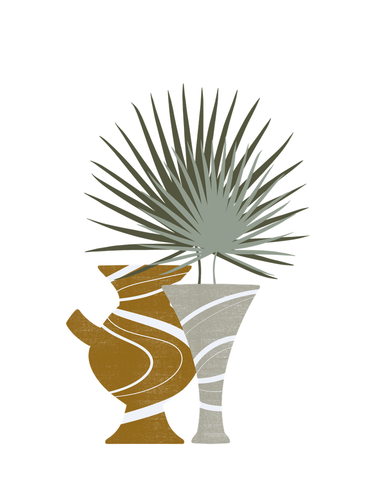 Two Vases And A Plant