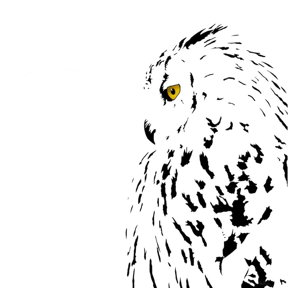 Snowy Eyed Owl White Series Square
